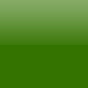 Green Lead & Cadmium Free Metallic Luster Glass Enamel 24401M