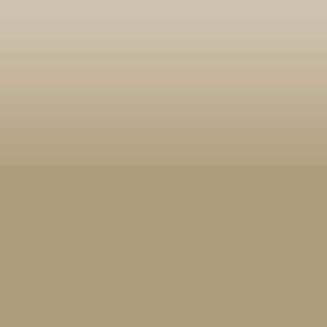 Satin Bronze Lead & Cadmium Free Metallic Luster Glass Enamel 24620M