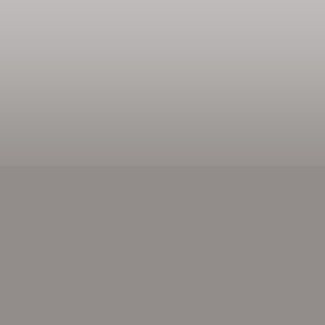 Silver Gray Bronze Lead & Cadmium Free Metallic Luster Glass Enamel 24705M